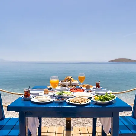 Karia Hotel *