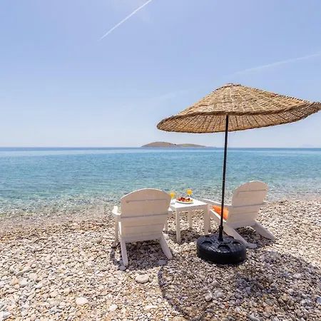 Karia * Паламутбуку